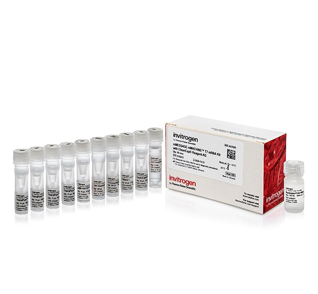 1000RXN CLEANCAP T7 IVT KIT .